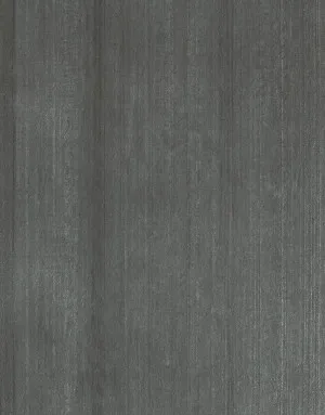 Cemento Antracite Cassero 1600x3200x12mm by Casalgrande Padana, a Porcelain Tiles for sale on Style Sourcebook