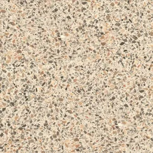 Terrazzo Beige Lappato 750x750 by Casalgrande Padana, a Terrazzo for sale on Style Sourcebook