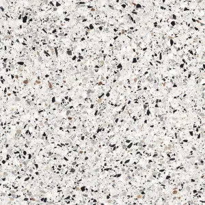 Venetian Marble Rainbow Matt (P2) 600x600 by Ceramica Piemme, a Terrazzo Look Tiles for sale on Style Sourcebook