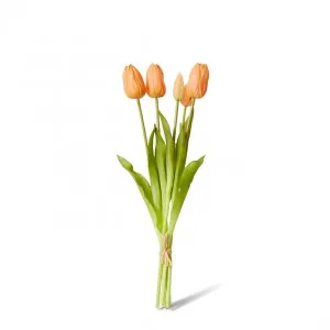 Tulip Bundle - 12 x 12 x 40cm by null, a Plants for sale on Style Sourcebook