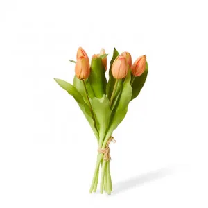 Tulip Petite Bundle - 22 x 22 x 30cm by null, a Plants for sale on Style Sourcebook
