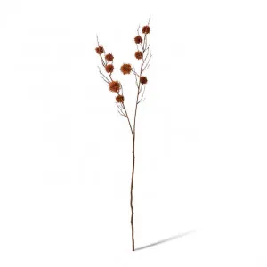 Spikey Chestnut Branch - 22 x 14 x 106cm by null, a Plants for sale on Style Sourcebook