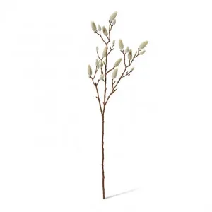 Magnolia Bud Branch - 24 x 10 x 76cm by null, a Plants for sale on Style Sourcebook