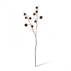 Spikey Chestnut Branch - 22 x 14 x 106cm by null, a Plants for sale on Style Sourcebook