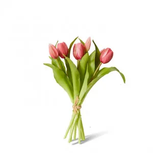Tulip Petite Bundle - 22 x 22 x 30cm by null, a Plants for sale on Style Sourcebook