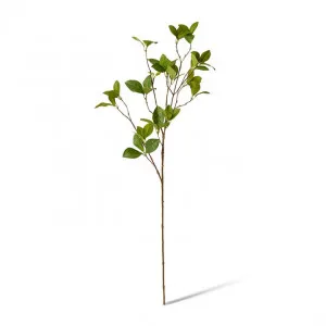 Enki Leaf Spray - 30 x 18 x 84cm by null, a Plants for sale on Style Sourcebook