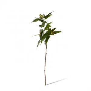 Eucy Seeding Nut Spray - 33 x 14 x 83cm by null, a Plants for sale on Style Sourcebook