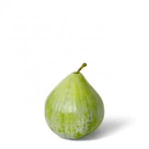 Fig - 6 x 6 x 7cm by null, a Plants for sale on Style Sourcebook