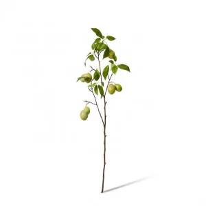 Fruit Branch - 28 x 12 x 98cm by null, a Plants for sale on Style Sourcebook