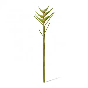 Heliconia Stem - 20 x 20 x 86cm by null, a Plants for sale on Style Sourcebook