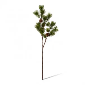 Pine Spray - 24 x 20 x 71cm by null, a Plants for sale on Style Sourcebook