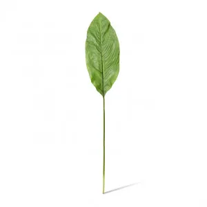Spath Leaf Stem - 46 x 18 x 100cm by null, a Plants for sale on Style Sourcebook