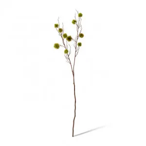 Spikey Chestnut Branch - 22 x 14 x 106cm by null, a Plants for sale on Style Sourcebook