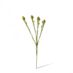 Clubmoss Spray - 8 x 6 x 46cm by null, a Plants for sale on Style Sourcebook