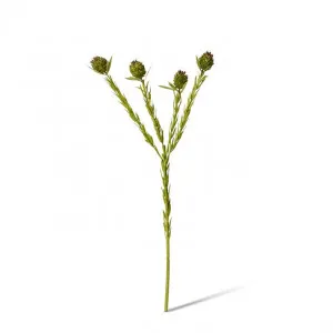 Clubmoss Spray - 10 x 6 x 56cm by null, a Plants for sale on Style Sourcebook