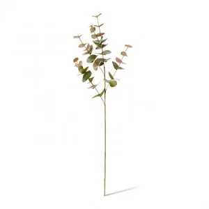 Eucalyptus Spray - 25 x 14 x 86cm by null, a Plants for sale on Style Sourcebook