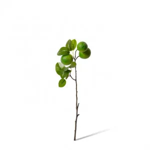 Lime Branch Spray - 26 x 13 x 51cm by null, a Plants for sale on Style Sourcebook
