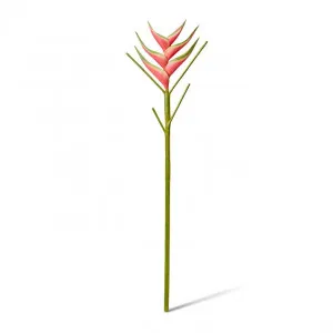 Heliconia Stem - 220 x 20 x 86cm by null, a Plants for sale on Style Sourcebook