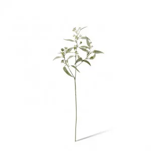 Eucalyptus Seeding Spray - 25 x 18 x 61cm by null, a Plants for sale on Style Sourcebook