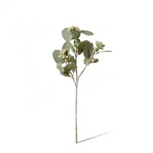 Eucy Gum Nut Spray - 26 x 14 x 61cm by null, a Plants for sale on Style Sourcebook