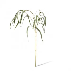 Eucy Gum Spray - 23 x 16 x 112cm by null, a Plants for sale on Style Sourcebook