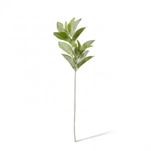 Lambs Ear Spray - 26 x 22 x 71cm by null, a Plants for sale on Style Sourcebook