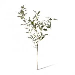 Olive Leaf Branch - 46 x 20 x 114cm by null, a Plants for sale on Style Sourcebook