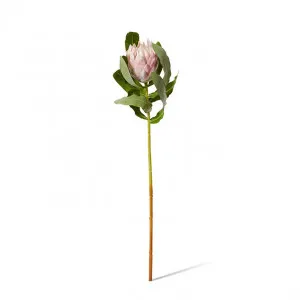 Protea Stem - 18 x 18 x 71cm by null, a Plants for sale on Style Sourcebook