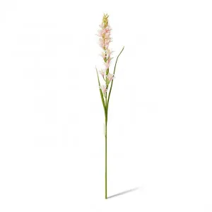 Tuberose Stem - 12 x 10 x 90cm by null, a Plants for sale on Style Sourcebook