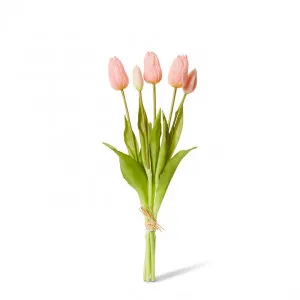 Tulip Bundle - 12 x 12 x 40cm by null, a Plants for sale on Style Sourcebook