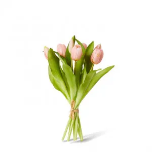 Tulip Petite Bundle - 22 x 22 x 30cm by null, a Plants for sale on Style Sourcebook