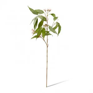 Eucalyptus Flowering Spray - 30 x 14 x 91cm by null, a Plants for sale on Style Sourcebook