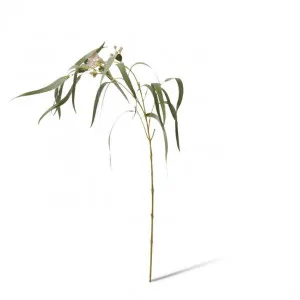 Eucy Flowering Spray - 23 x 16 x 112cm by null, a Plants for sale on Style Sourcebook
