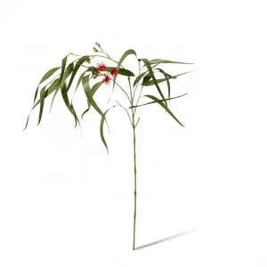 Eucy Flowering Spray - 23 x 16 x 112cm by null, a Plants for sale on Style Sourcebook