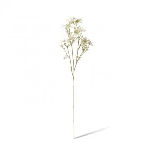 Flannel Flower Spray - 27 x 16 x 81cm by null, a Plants for sale on Style Sourcebook