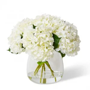 Hydrangea - Alma Vase - 50 x 50 x 46cm by null, a Plants for sale on Style Sourcebook