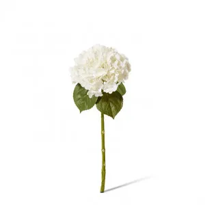 Hydrangea Classic Stem (Fresh Touch) - 30 x 20 x 52cm by null, a Plants for sale on Style Sourcebook