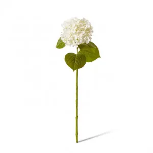 Hydrangea Garden Stem (Fresh Touch) - 26 x 20 x 61cm by null, a Plants for sale on Style Sourcebook