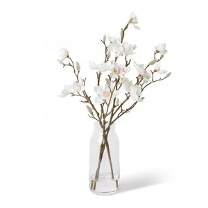 Mini Magnolia - Harnan Vase - 30 x 25 x 50cm by null, a Plants for sale on Style Sourcebook