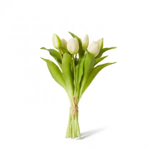 Tulip Petite Bundle - 22 x 22 x 30cm by null, a Plants for sale on Style Sourcebook