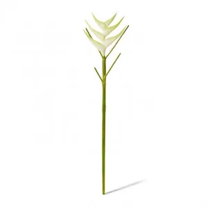 Heliconia Stem - 20 x 20 x 86cm by null, a Plants for sale on Style Sourcebook