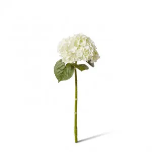 Hydrangea Classic Stem (Fresh Touch) - 30 x 20 x 52cm by null, a Plants for sale on Style Sourcebook