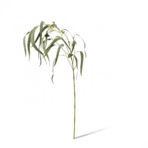 Eucy Flowering Spray - 23 x 16 x 112cm by null, a Plants for sale on Style Sourcebook