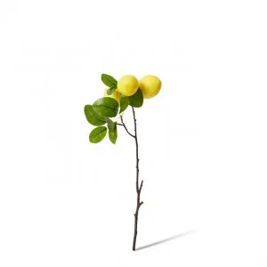 Lemon Branch Spray - 28 x 15 x 51cm by null, a Plants for sale on Style Sourcebook