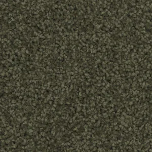Charmeuse - Woodland by Bremworth Aspire Collection, a Twist for sale on Style Sourcebook