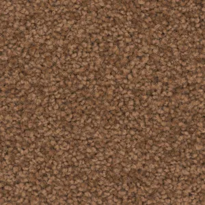 Charmeuse - Clay by Bremworth Aspire Collection, a Twist for sale on Style Sourcebook