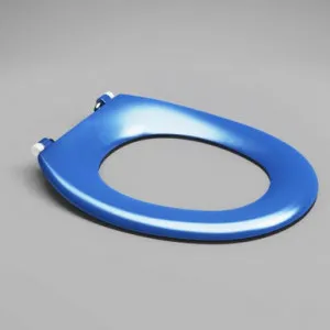 Caravelle Care Single Flap Toilet | Made From Stainless Steel In Blue/Sorrento Blue By Caroma by Caroma, a Toilets & Bidets for sale on Style Sourcebook