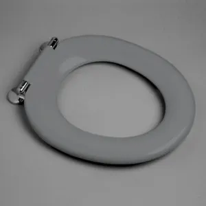 Pedigree II Single Flap Care Toilet Seat Die Cast Hinge Anthracite Nth In Grey By Caroma by Caroma, a Toilets & Bidets for sale on Style Sourcebook