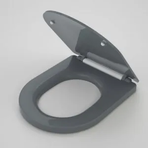Liano Care Soft Close Toilet Seat Double Flap Blinding Fixing Quick Release Anthracite Nth In Grey By Caroma by Caroma, a Toilets & Bidets for sale on Style Sourcebook