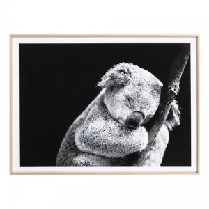 Sleepy Koala Framed Print in 139 x 99cm by OZ Design, a Prints for sale on Style Sourcebook